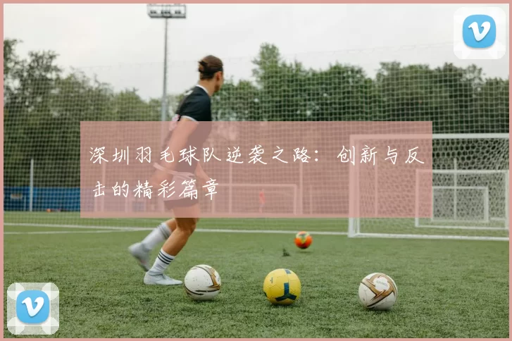 深圳羽毛球队逆袭之路:创新与反击的精彩篇章