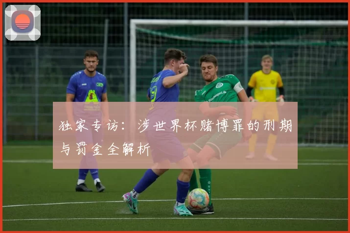 独家专访:涉世界杯赌博罪的刑期与罚金全解析