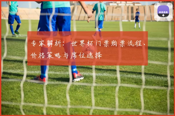 专家解析:世界杯门票购票流程、价格策略与席位选择
