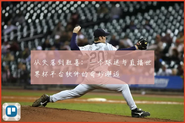从失落到狂喜：一个球迷与直播世界杯平台软件的奇妙邂逅