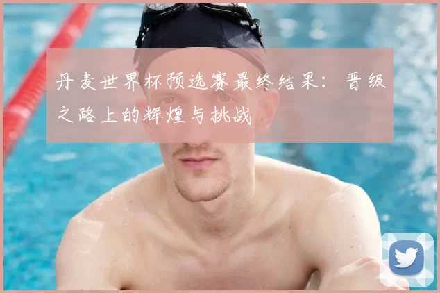 丹麦世界杯预选赛最终结果:晋级之路上的辉煌与挑战