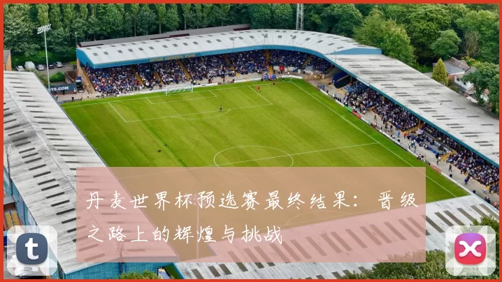 丹麦世界杯预选赛最终结果：晋级之路上的辉煌与挑战