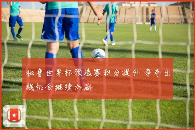 秘鲁世界杯预选赛积分提升 争夺出线机会继续加剧