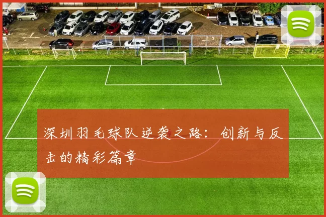 深圳羽毛球队逆袭之路:创新与反击的精彩篇章