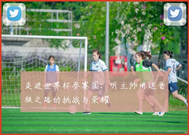 走进世界杯参赛国:听主帅讲述晋级之路的挑战与荣耀