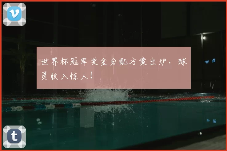 世界杯冠军奖金分配方案出炉，球员收入惊人！